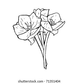 dibujo de tulipán abierto