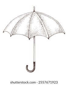 Open umbrella hand drawn illustration