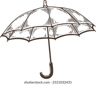 Open umbrella parasol rain sun protect engraving, hand drawn illustration, black  white, isolated, line art for poster in graphic style, sketch silhouette