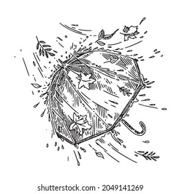 an open umbrella in the rain with autumn leaves. Sketch. Engraving style. Vector illustration