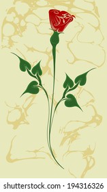 Open water carnation