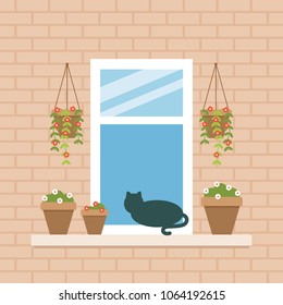 Open window with cat and flower pots building facade flat vector illustration