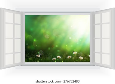 Open window of daisies in a meadow