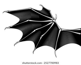 The open wing of a bat or a dragon isolated on white. Drawing in black and white vintage engraving style. Vector illustration