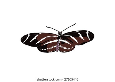 Open winged striped butterfly drawing.