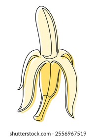 Open yellow banana line isolated on white background. Simple silhouette of fruit. Hand drawn banana outline. Vector illustration