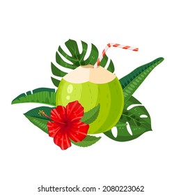 Open young green coconut milk drink with hibiscus and tropical exotic leaves. Vector illustration cartoon flat icon isolated on white background.