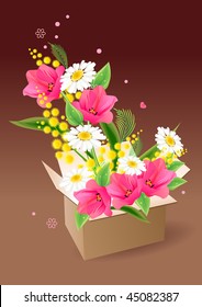 Geöffnete Schachtel mit verschiedenen Blumen