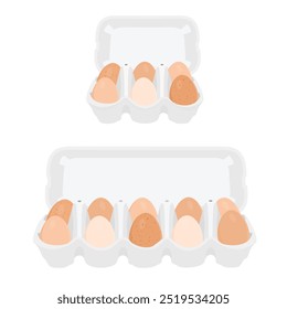 Opened carton box with chicken eggs. Egg tray isolated on white background. Vector illustration