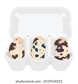 Opened carton box with quial eggs. Egg tray isolated on white background. Vector illustration