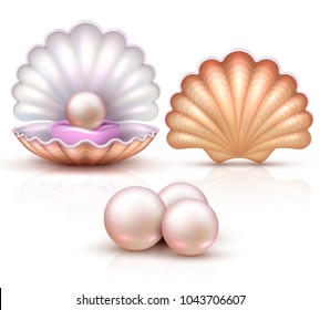 Opened and closed seashells with pearls isolated. Shellfish vector illustration for beauty and luxury concept. Shell and pearl, seashell luxury treasure