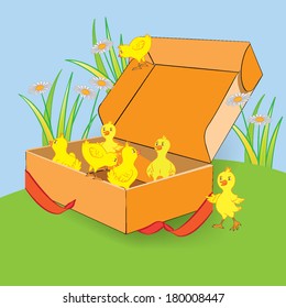 Opened gift box with chickens. Vector illustration.