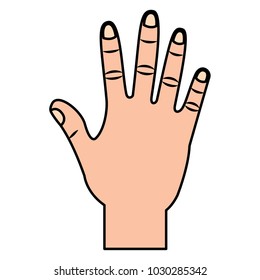 opened hand palm counting fingers number five