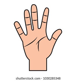 opened hand palm counting fingers number five