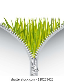 opened metallic zipper over grass background. vector