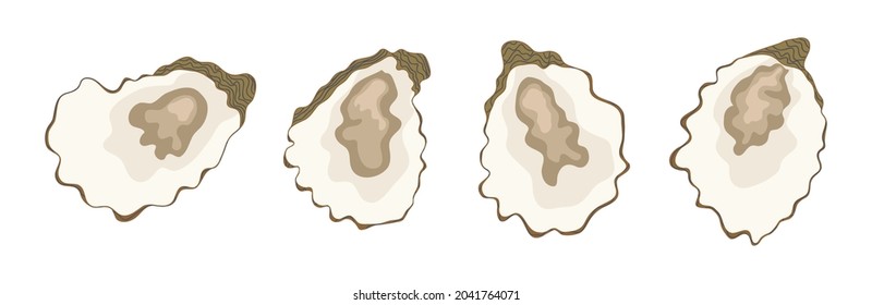 Opened oysters - hand drawn vector illustration isolated on white. Flat color design.