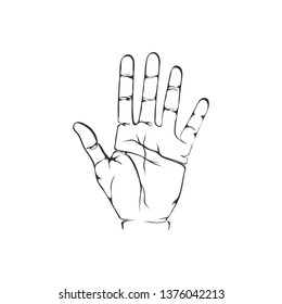 Opened palm of the hand is lifted up isolated on white background, Five fingers gesture. Divination by lines on the palm. Vector illustration