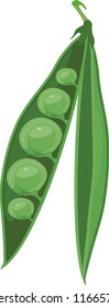 Opened pea pod with green seeds isolated on white background