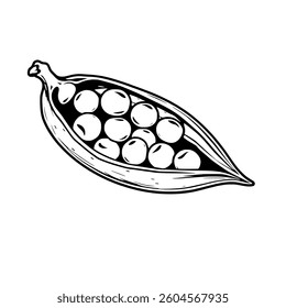 Opened Pea Pod with Round Peas Inside Black and White Illustration