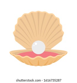 Opened Seashell with Pearl Inside. Seashell. Clam. Oyster.