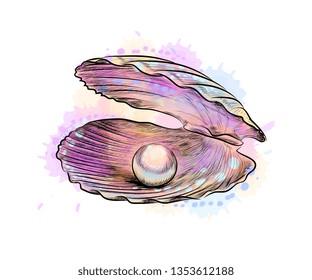 Opened Shell With Pearl Inside From A Splash Of Watercolor, Hand Drawn Sketch. Vector Illustration Of Paints