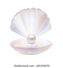 アコヤ貝 のイラスト素材 画像 ベクター画像 Shutterstock