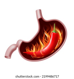 Geöffnete Magenspinne mit rotem Pfeffer im Feuer. Gewürzige Gastritis. Konzept der gesunden Ernährung. Vektorgrafik einzeln auf weißem Hintergrund.