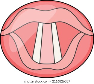 Opened Throat and Mouth Concept,  oral examination Vector color Icon Design, Organ System Symbol, Human Anatomy Sign, Human Body Parts Stock illustration