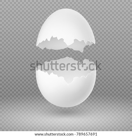 Opened white egg with broken shell isolated vector illustration. Eggshell fragile broken, open and cracked oval egg