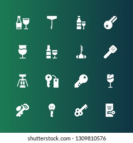 opener icon set. Collection of 16 filled opener icons included Key, Wine, Keys, Corkscrew, Slotted spoon, Bottle opener