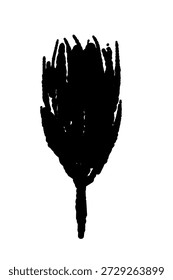 Nelkenblütenknospe öffnen - Vektorgrafik