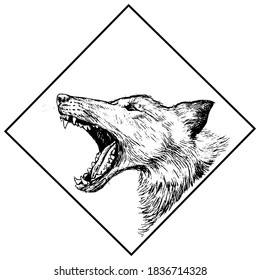 Lobo de mandíbula abierta. Animales silvestres forestales. Ilustración de contorno vector dibujado a mano. Resumen del dibujo retro gráfico aislado en blanco. Un solo elemento negro para la impresión de diseño, camisa, afiche, decoración, tarjeta.