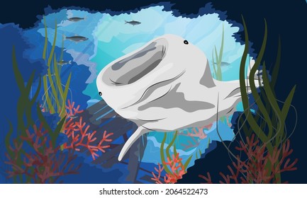 The open-mouthed great whale shark Rhincodon swims into an underwater cave with algae and red corals. Sunken ship at the bottom. Giant fish of the World Ocean. Realistic vector underwater landscape