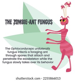 Ophiocordyceps unilateralis the zombie ant fungus vector illustration