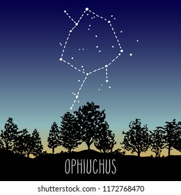 Ophiuchus, hand drawn thirteenth Zodiac sign constellation in a twilight sky over the deciduous forest. Vector graphics astrology illustration. Western horoscope mystic symbol in nature.