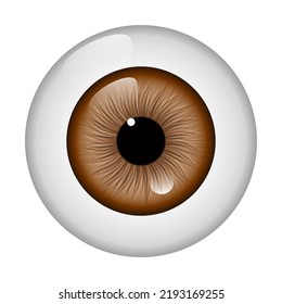 Ophtalmology. White background. Vector illustration