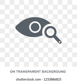 Ophthalmology icon. Trendy flat vector Ophthalmology icon on transparent background from Health and Medical collection. 