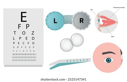 Oftalmología oculista conjunto de corrección de la visión Anatomía del ojo con tabla de examen 