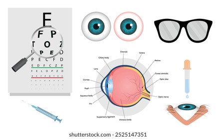 Oftalmología oculista conjunto de corrección de la visión Anatomía del ojo con tabla de examen 