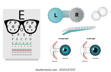 Oftalmología oculista conjunto de corrección de la visión Anatomía del ojo con tabla de examen 