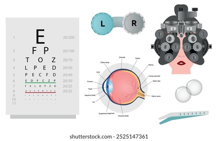 Oftalmología oculista conjunto de corrección de la visión Anatomía del ojo con tabla de examen 