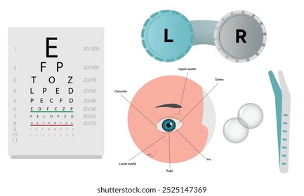 Oftalmología oculista conjunto de corrección de la visión Anatomía del ojo con tabla de examen 