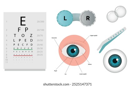 Oftalmología oculista conjunto de corrección de la visión Anatomía del ojo con tabla de examen 