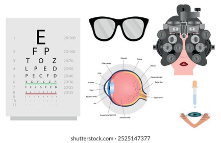 Oftalmología oculista conjunto de corrección de la visión Anatomía del ojo con tabla de examen 