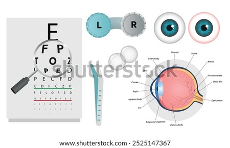 Ophthalmology oculist set vision correction eye anatomy with exam table 