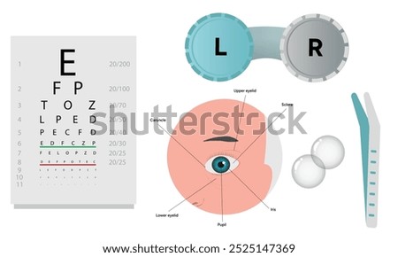 Ophthalmology oculist set vision correction eye anatomy with exam table 