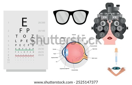 Ophthalmology oculist set vision correction eye anatomy with exam table 