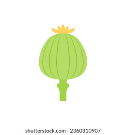 opium poppy flat design vector illustration