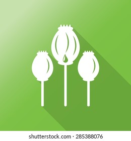 Opium poppy flat icon with long shadow.