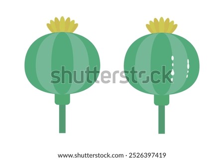 Opium poppy icon set. Vector.